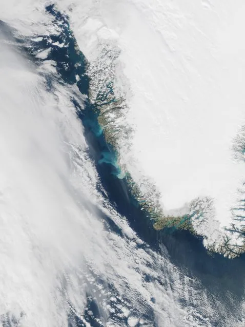 Satellite photo of meltwater from Greenland ice sheet. (NASA)