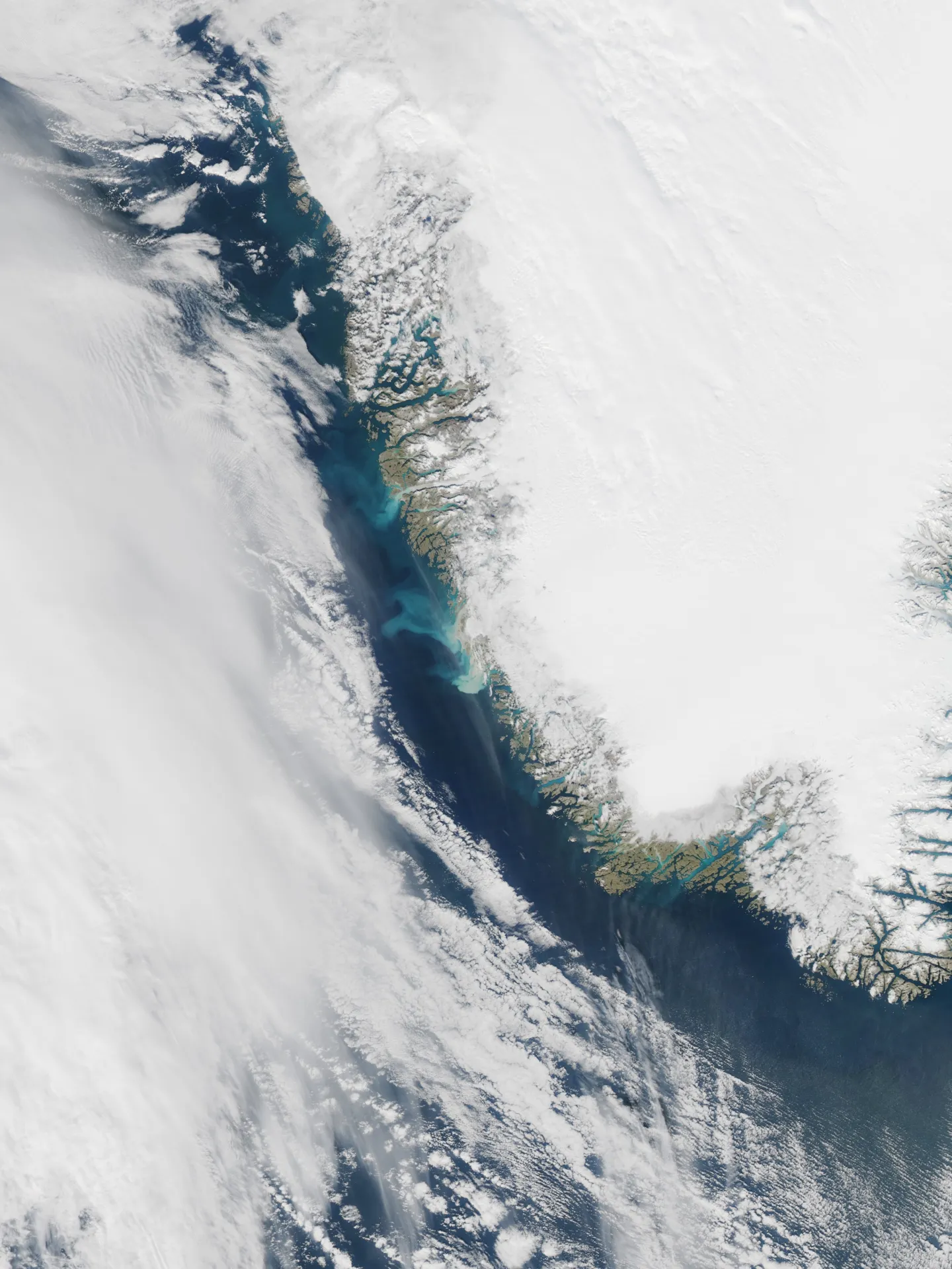 fueled by melting glaciers algae bloom off greenland