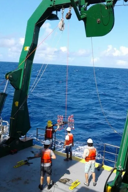 Tara Clemente, Rob Palomares, Time Burrell, Ryan Tabata and Paul Den Uyl pulling samples from the depths of the North Pacific