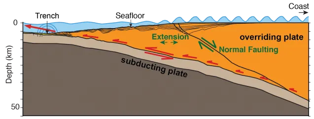 A tsunami can occur as ocean crust (brown area) dives under continental crust (orange), causing the ocean floor to suddenly moves. In one region off Alaska, researchers have found a large fault and other evidence indicating that the leading edge of t
