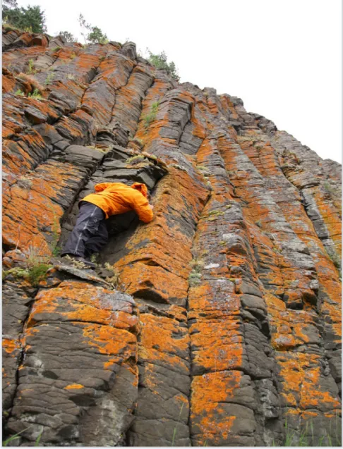  A researcher climbs a deposit left by massive volcanism in what is now Siberia 252 million years ago. The eruptions may have led to catastrophic environmental changes, says a new study. (Courtesy Linda Elkins-Tanton) 