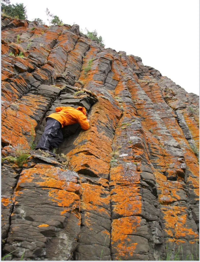 study bolsters volcanic theory of ancient extinction