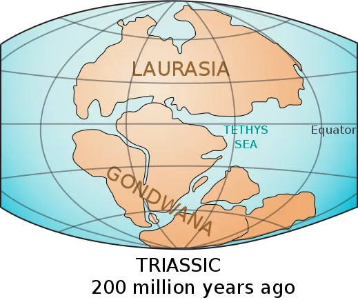 We theorize that the crustal depression that has become the embayment holding the Ross Ice Shelf developed during the break-up of Gondwana. 