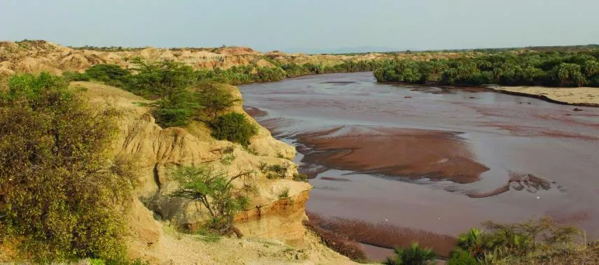 the way we were climate and human evolution