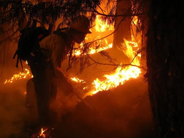 wildfire 