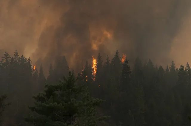 scientists find strong link climate change wildfires
