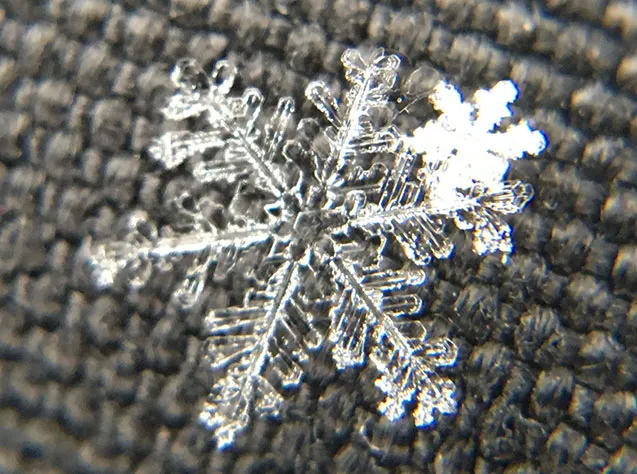 x snow citizen science
