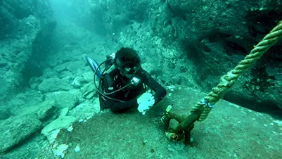 dying reefs bigger threat coasts rising seas study says
