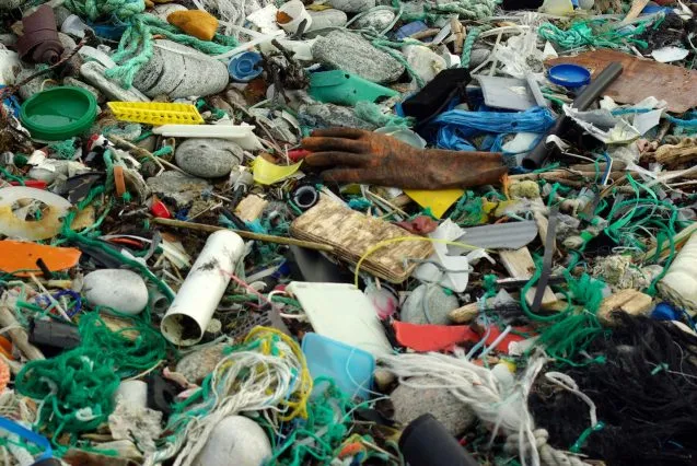 MarineLitter BoEide 637x426.jpg