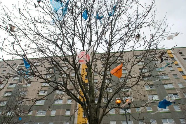 PlasticBagTree ChrisGuy 637x426.jpg