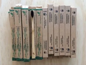 bamboo Anna Gregory 303x227.jpg