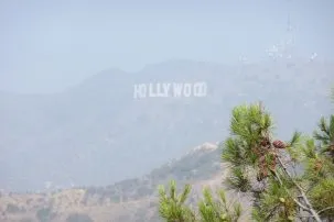 Hollywood DavidBeach 303x202.jpg