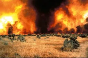 Idaho wildfire 2013 303x201.jpg
