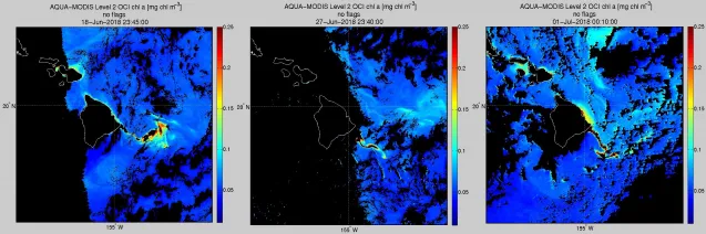 algae bloom kilauea eruption