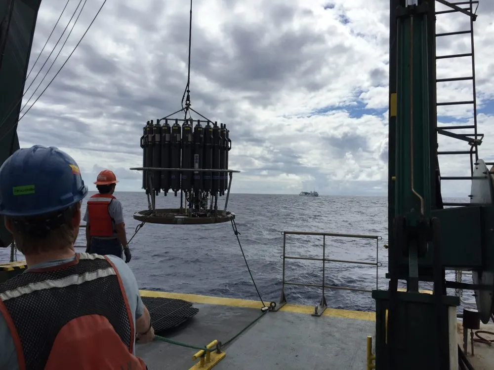 phytoplankton microbes matter