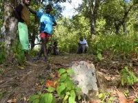1 2 200x150.jpg