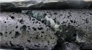 CarbFix core 303x164.png
