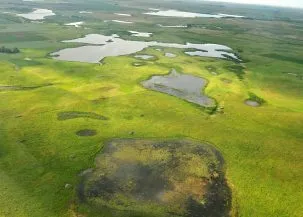 Grassland conservation easement on Sand Lake Wetland Management District 14466372148 303x217.jpg