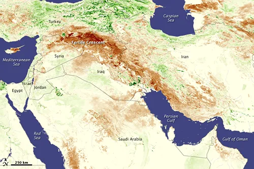 In 2006-2010, an unprecedented drought (brown areas) spread across much of Turkey, Syria and Iraq—the so-called Fertile Crescent. In part due to unsustainable farming practices and government mismanagement, Syria was especially vulnerable to its ef