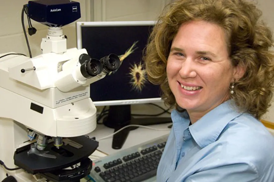 sonya dyhrman named fellow american academy microbiology