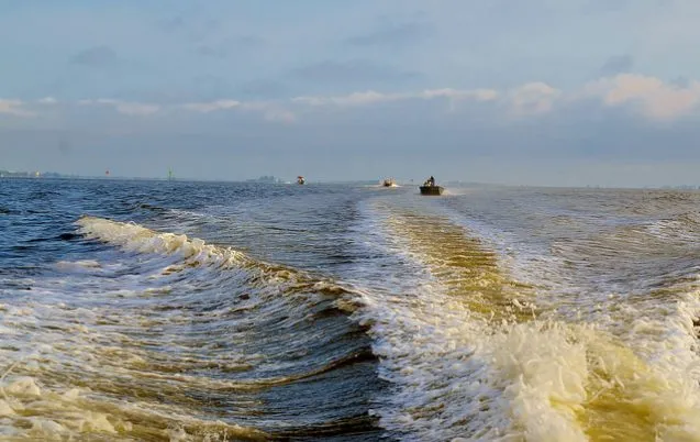 brown tides in florida