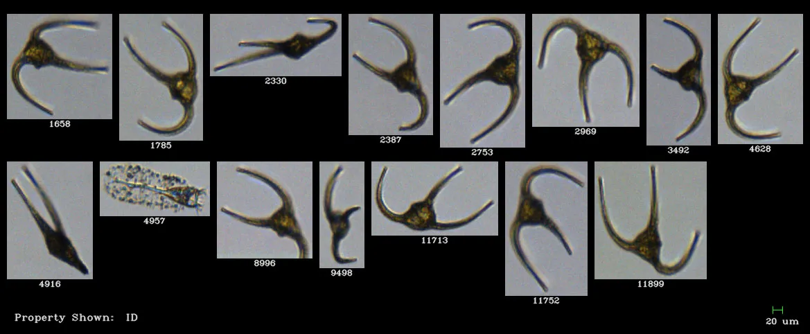 data science marine biology