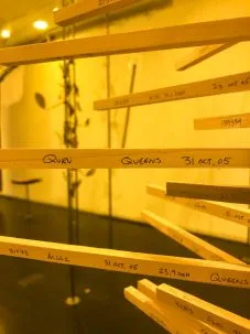 Offsetted cores close 2 2 227x303.jpg