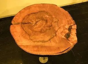 Slab 303x220.jpg