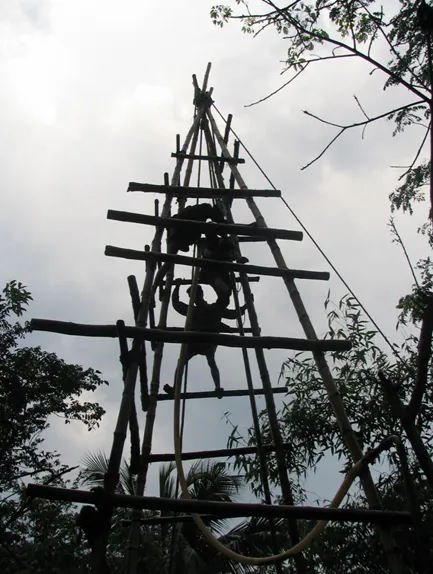 bamboo structure