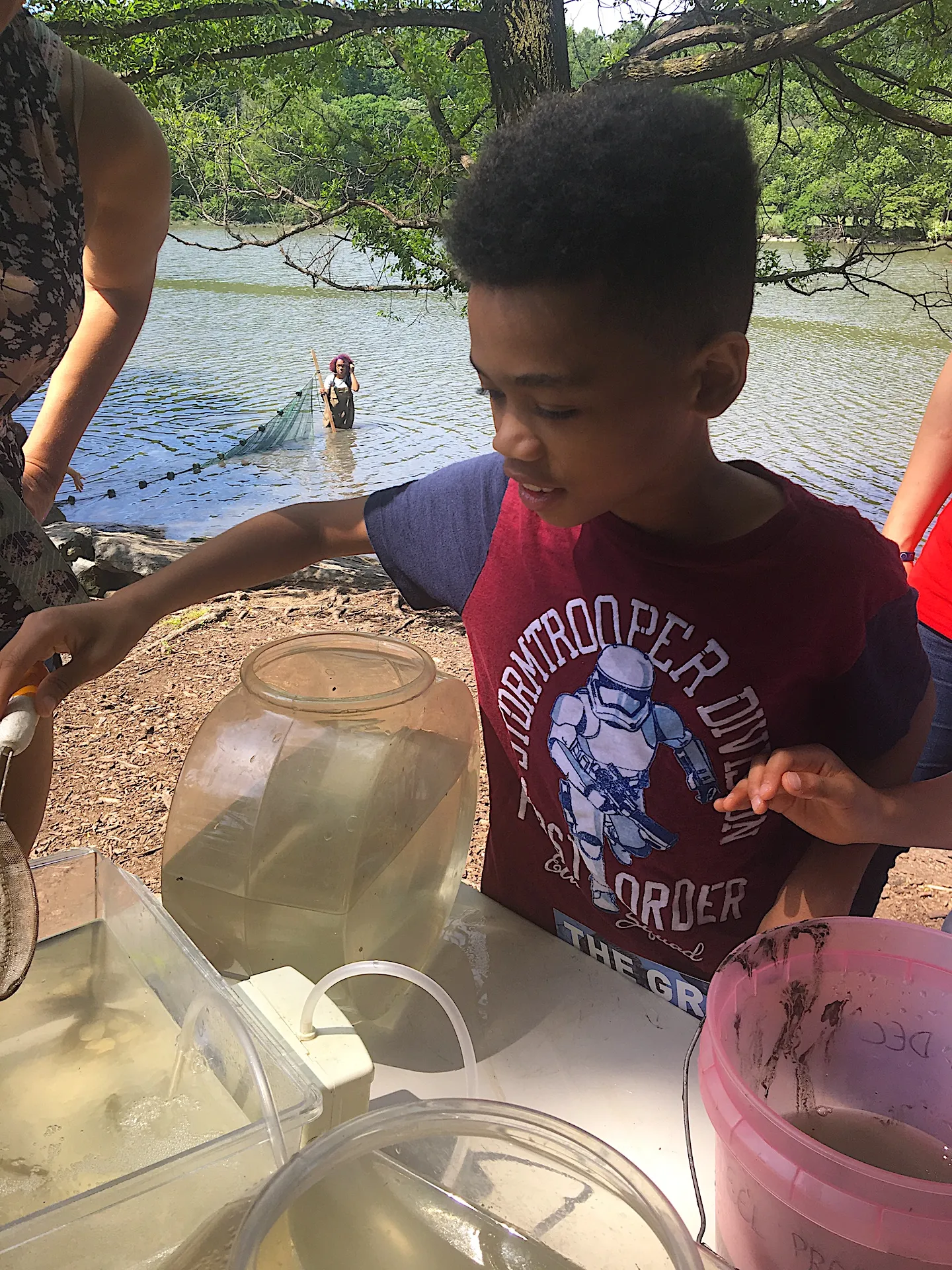 june 1st around new york fish will filling nets