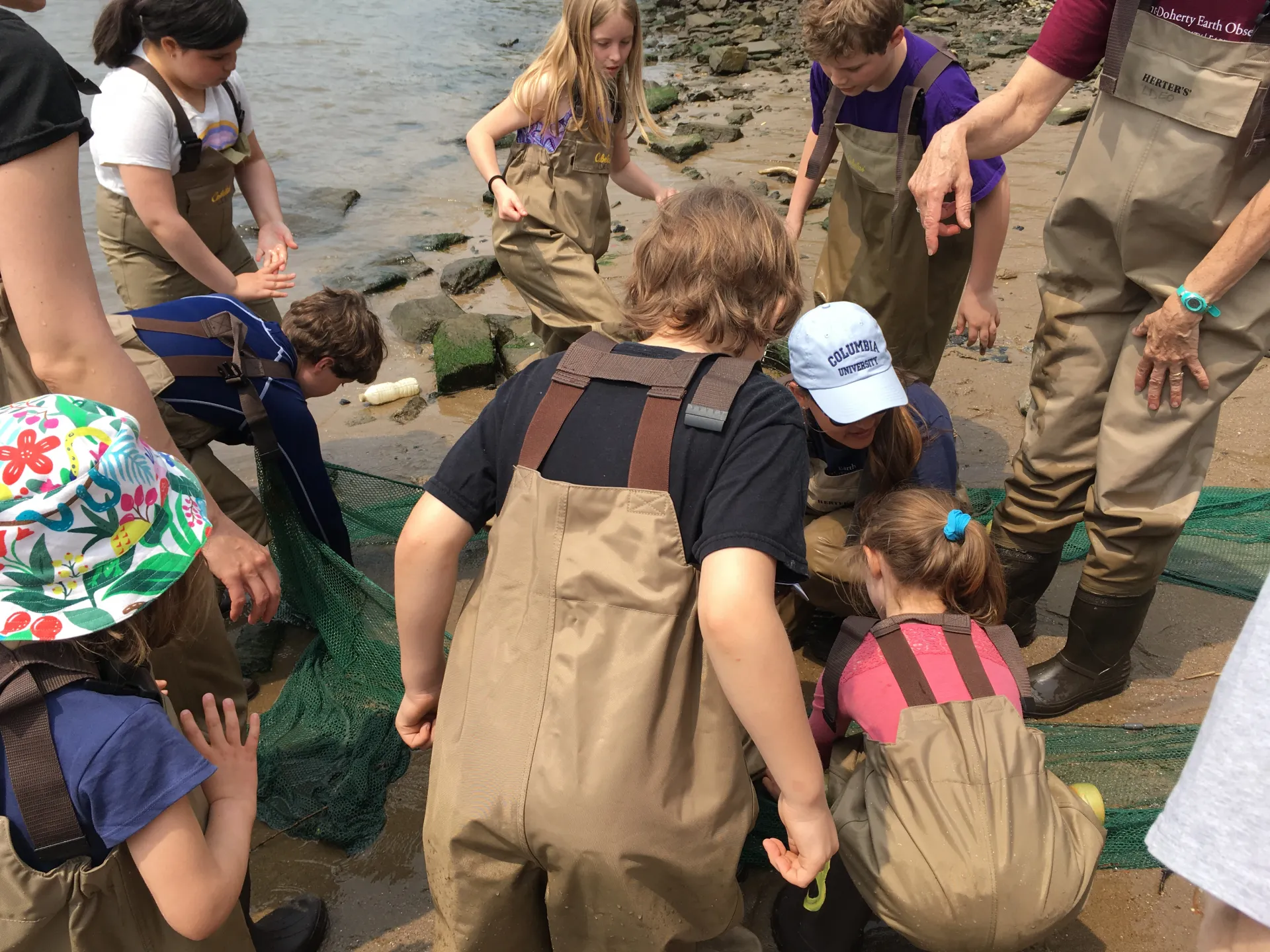 collecting fish