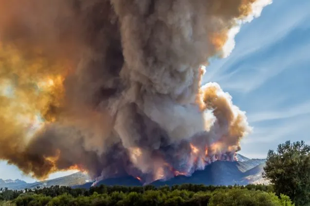 roaring lion fire 7 31 114 887x591 637x424.jpg