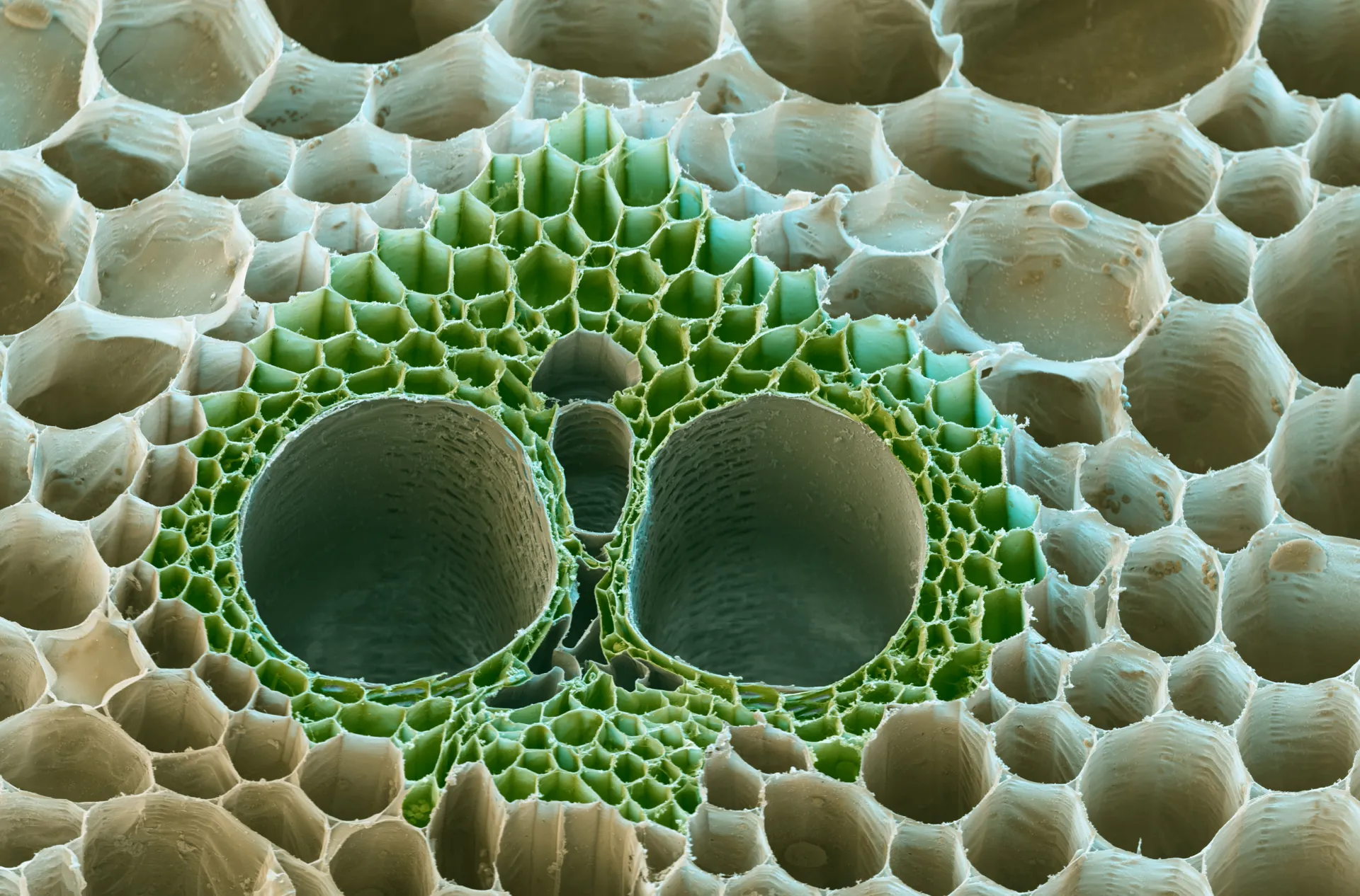 synthetic biology help environment