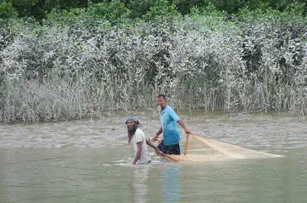 delays in dhaka