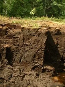 mined peatland