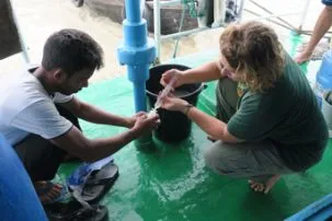 4.9watersample 303x202.jpg