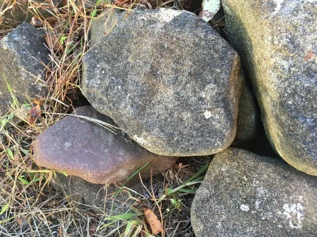glacial erratic