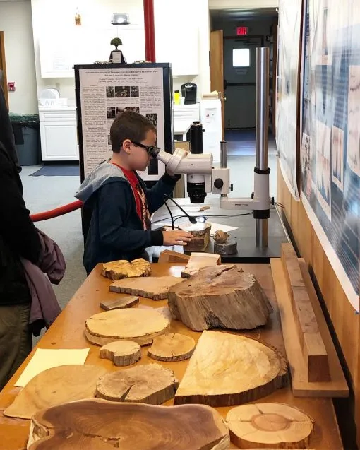 tree ring lab