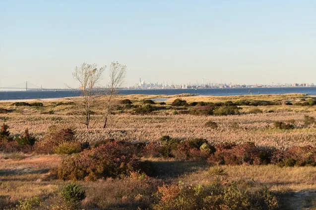 15 637x425.jpg