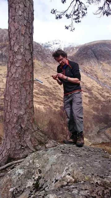 tree core sample uk 358x637.jpg