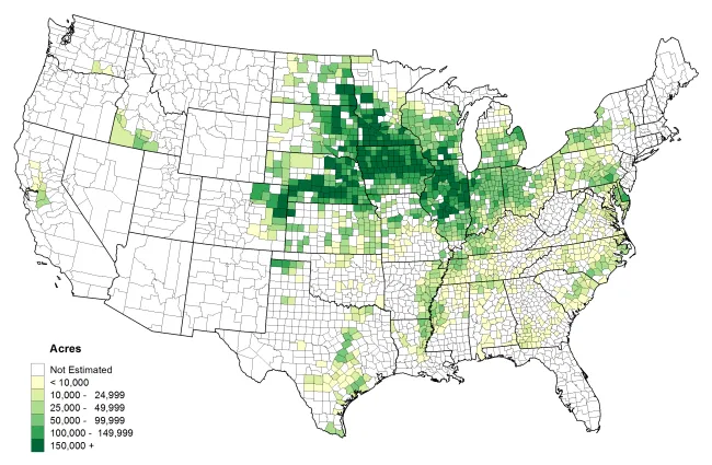 climate change corn belt