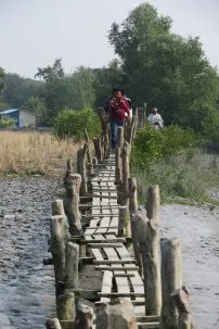 4.7boardwalk 202x303.jpg