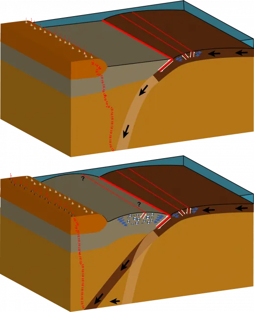 oryan tsunami 518x637.png