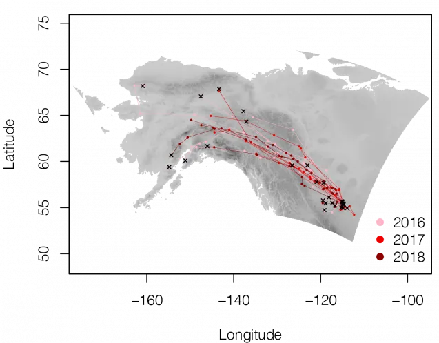 map of spring migration routes over three years