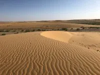 IMG 2 200x150.jpg