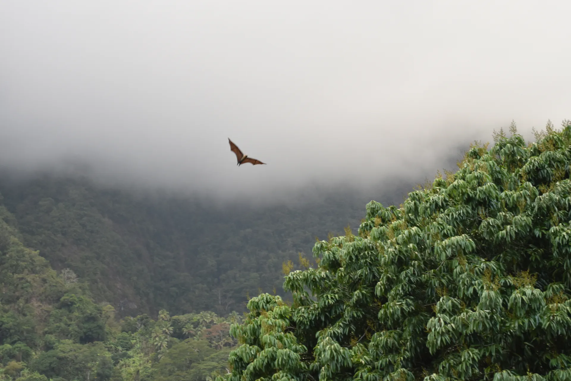 EI_LDEO_102018_Comoros-Anjouan_Krajick_02 sm