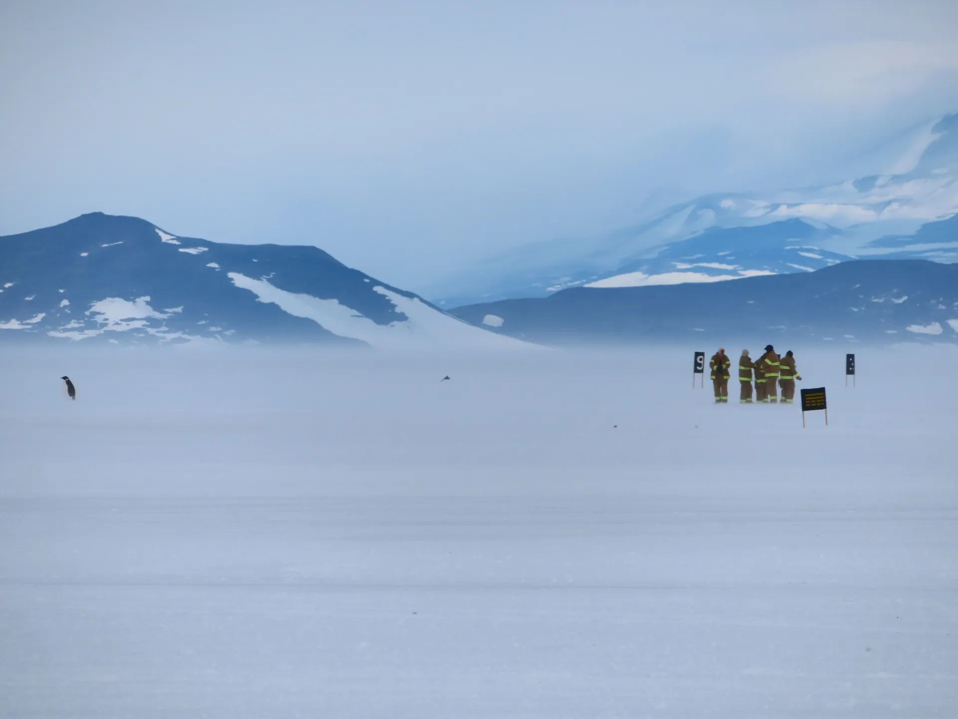 EI_LDEO_20190201_McMurdo-Antarctica_Lamp18