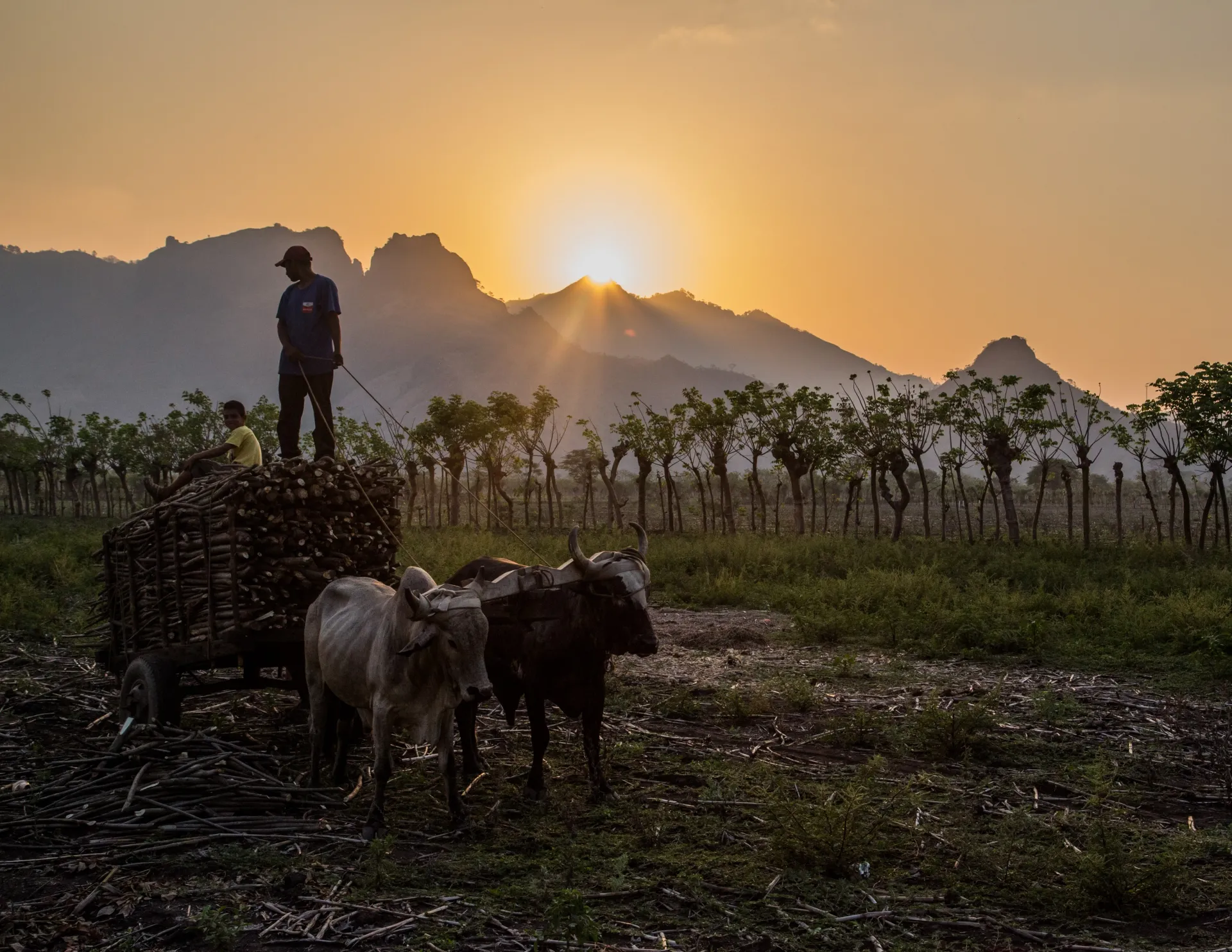 Honduras farmers