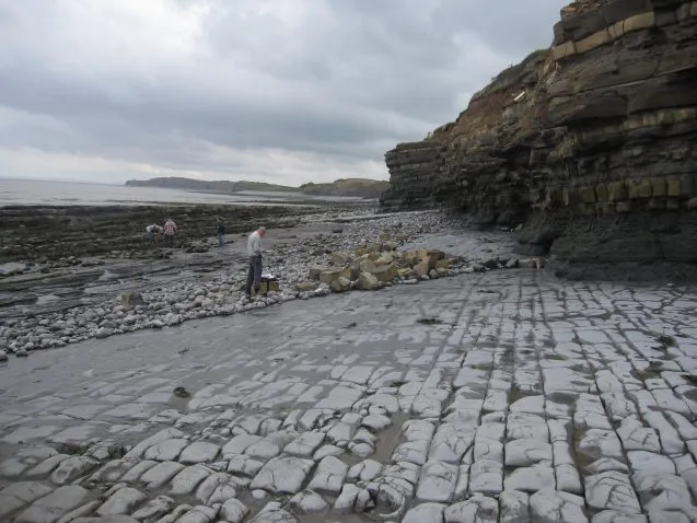 12 questions earth scientists ask next 10 years