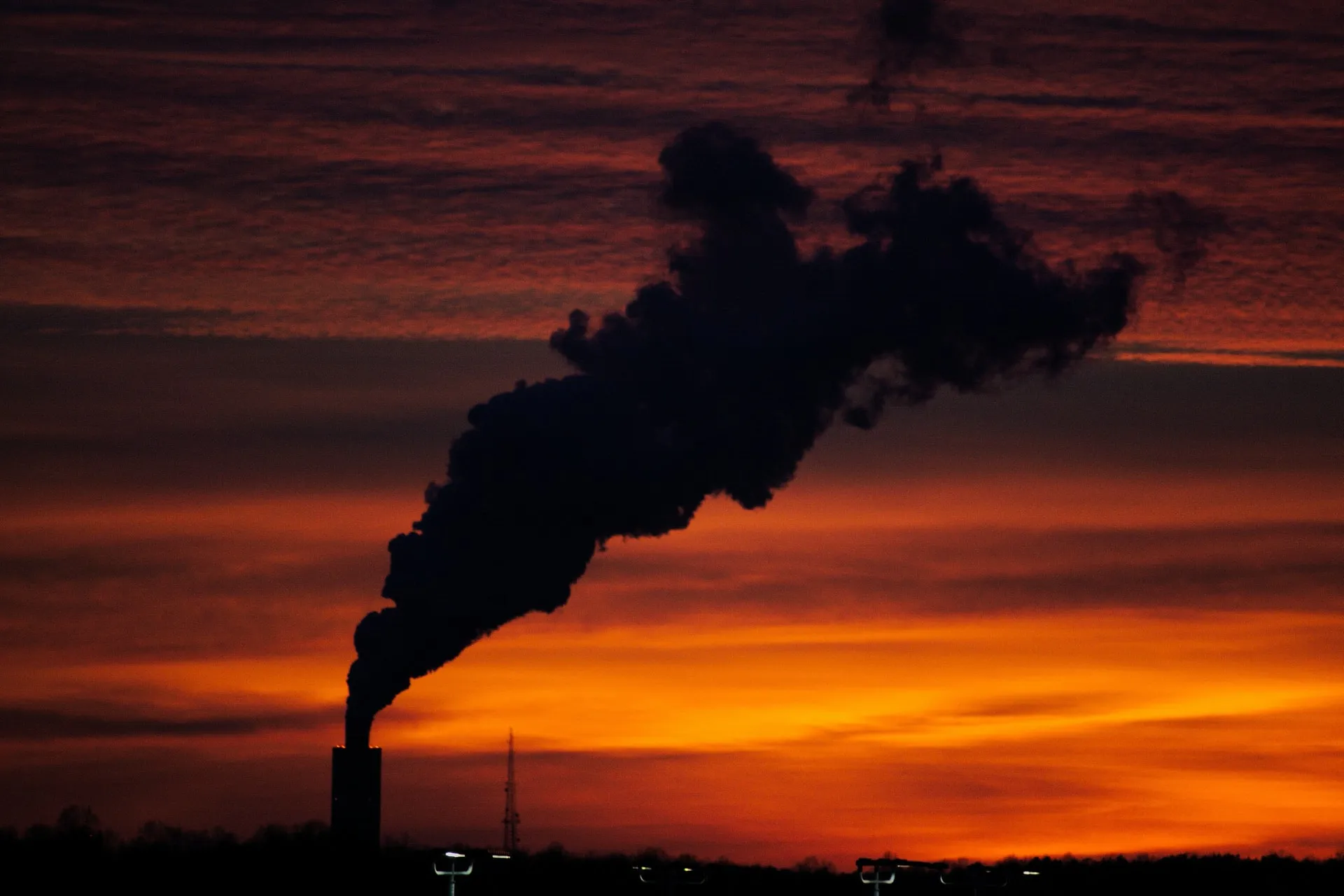coronavirus strong ally pollution